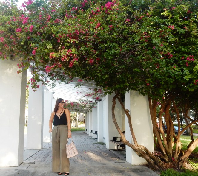 Vivian Black Bodysuit, Black Bodysuit, Bodysuit, Tobi, High Waist Pants, High Wasited Pants, Marine Layer, Ivy Pant, Worn Olive, Nectar Sunglasses, Nectar, Hula Sunglasses, Nectar Hula, Sarah In Style, The Vinoy Marriott St. Petersburg, Marriott Florida, Best High wasited pants, fashion blog, fashion blogger 