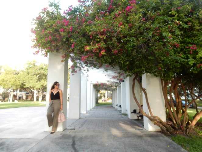 Vivian Black Bodysuit, Black Bodysuit, Bodysuit, Tobi, High Waist Pants, High Wasited Pants, Marine Layer, Ivy Pant, Worn Olive, Nectar Sunglasses, Nectar, Hula Sunglasses, Nectar Hula, Sarah In Style, The Vinoy Marriott St. Petersburg, Marriott Florida, Best High wasited pants, fashion blog, fashion blogger 