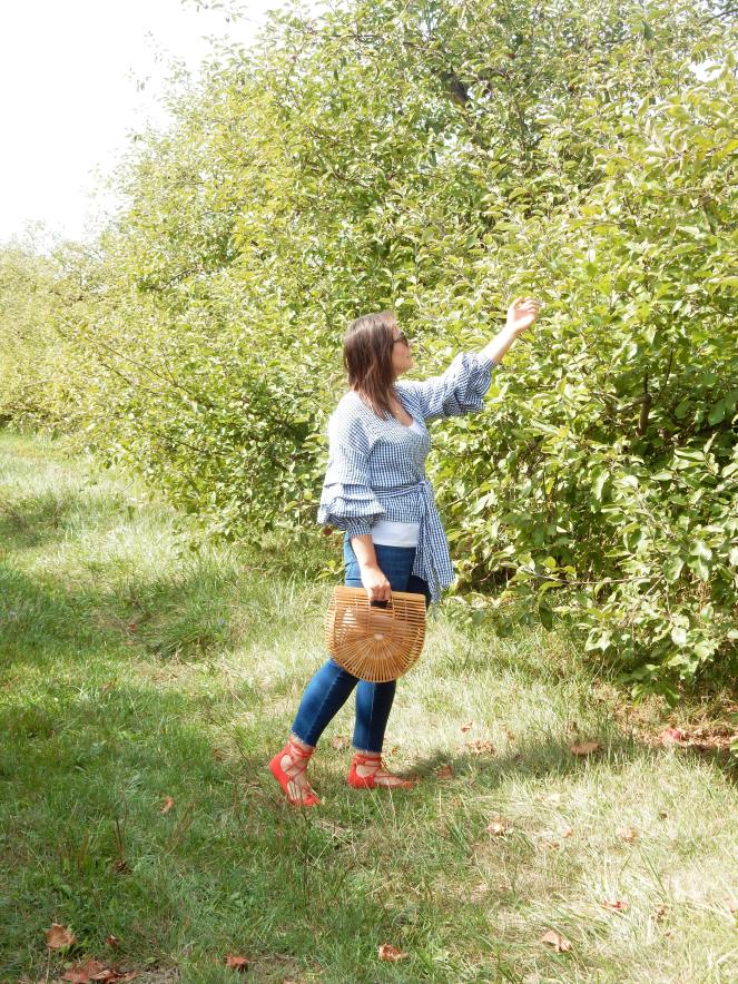 wood purse, fall fashion, seasonal clothing, what to wear this fall, fall trends, fall style, autumn style, apple orchard outfit, gingham ruffle top, gingham wrap top, red lace up flats, Pure Michigan, apple slushies, Sarah In Style, Sarah Meyer, fashion blogger, fashion blog, Chicago blogs, Chicago bloggers