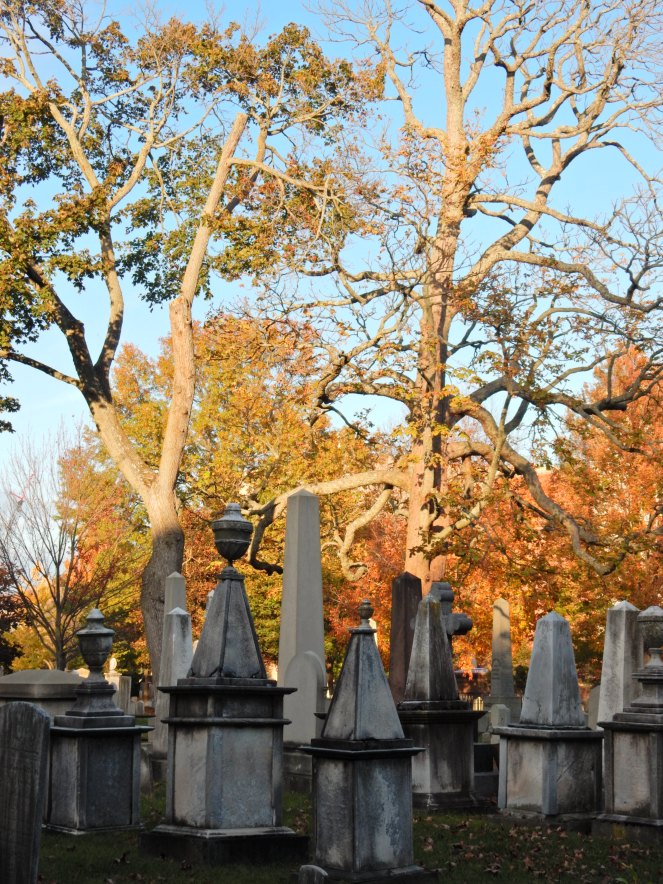 Yale, Yale University, Handsome Dan, Yale Bulldogs, Memorial Rotunda, Vietnam Veterans Memorial, Maya Lin, old buildings, new haven, connecticut, east coast, ivy league, sarahinstyle, sarahinstyle.com, yale facts, yale tour