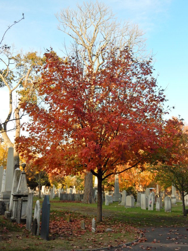 Yale, Yale University, Handsome Dan, Yale Bulldogs, Memorial Rotunda, Vietnam Veterans Memorial, Maya Lin, old buildings, new haven, connecticut, east coast, ivy league, sarahinstyle, sarahinstyle.com, yale facts, yale tour