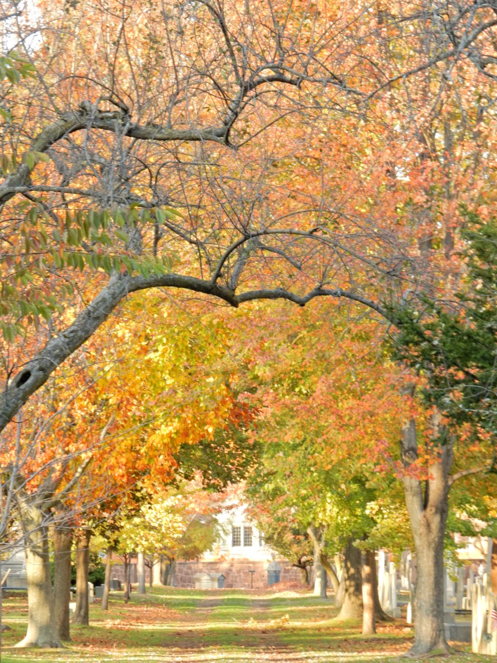 Yale, Yale University, Handsome Dan, Yale Bulldogs, Memorial Rotunda, Vietnam Veterans Memorial, Maya Lin, old buildings, new haven, connecticut, east coast, ivy league, sarahinstyle, sarahinstyle.com, yale facts, yale tour