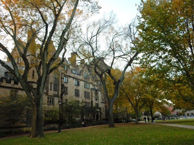 Yale, Yale University, Handsome Dan, Yale Bulldogs, Memorial Rotunda, Vietnam Veterans Memorial, Maya Lin, old buildings, new haven, connecticut, east coast, ivy league, sarahinstyle, sarahinstyle.com, yale facts, yale tour