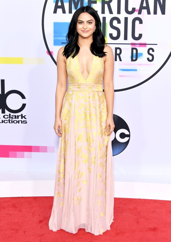 American Music Awards, AMas, Music Awards, Red Carpet, Celebrity fashion, best dressed, pink, tracee ellis ross, kathryn hahn, ashlee simpson ross, hailee steinfeld, selena gomez, mugler, Monique Lhullier, Christian Siriano