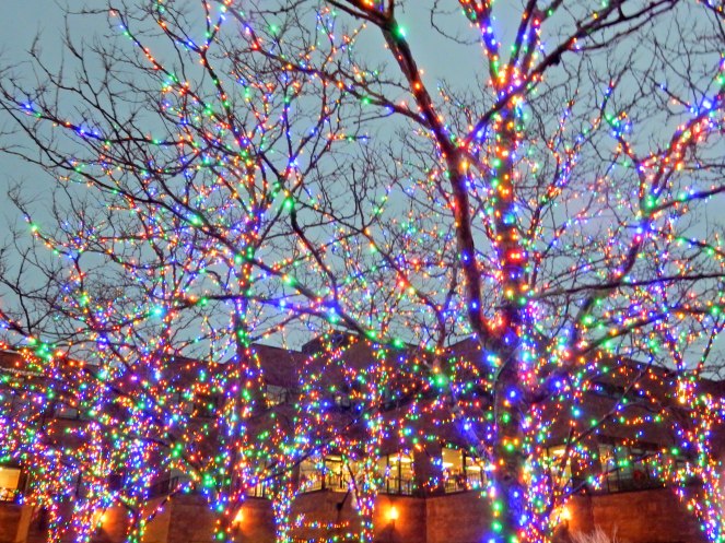 City girl goes to suburbia, Chicago suburbs, highland park, Posh essentials, Posh Illinois, Tune Up for Love, Cos Bar, Sarah In Style, Chicago shopping, Chicago North Shore, Sarah Meyer