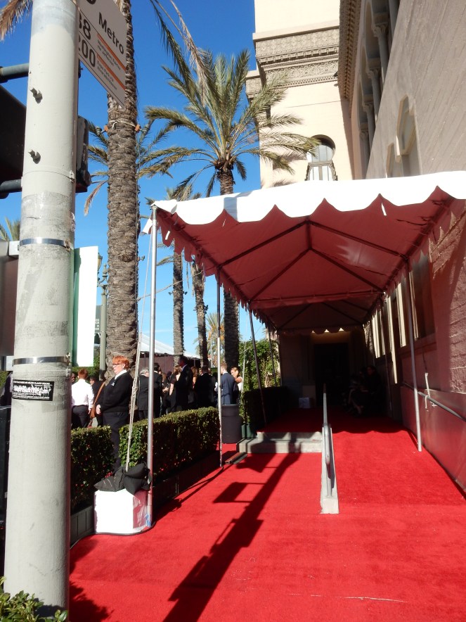 fashion blogger, style blogger, sarah in style, Sarah Meyer, SAG Awards, Screen Actors Guild, SAG Red Carpet, SAG Afterparty, SAG red carpet experience, SAG bleachers, Awards season, celebrity fashion, best dressed, E red carpet, People style, best of the SAG Awards