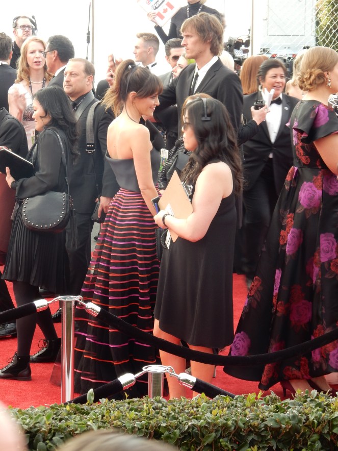 fashion blogger, style blogger, sarah in style, Sarah Meyer, SAG Awards, Screen Actors Guild, SAG Red Carpet, SAG Afterparty, SAG red carpet experience, SAG bleachers, Awards season, celebrity fashion, best dressed, E red carpet, People style, best of the SAG Awards