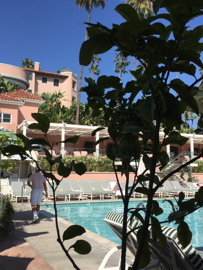 Sarah In Style, SarahInStyle.com, Sarah Meyer, Beverly Hills Hotel, LA, California, Pink studded purse, black and white stripes, velvet flats, bow flats, ripped jeans, winter trends, fashion trends, fashion blogger, out of the day