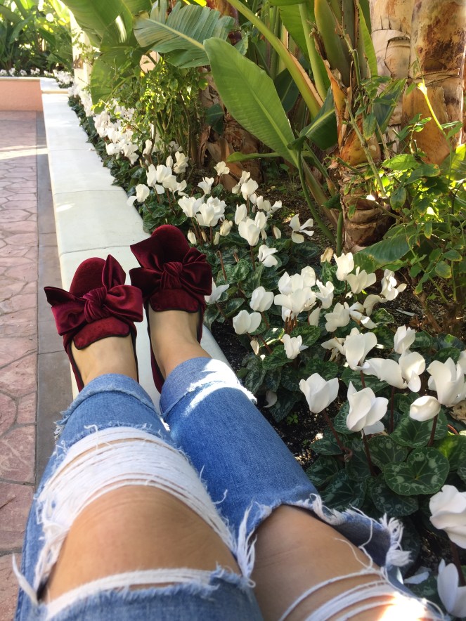 Sarah In Style, SarahInStyle.com, Sarah Meyer, Beverly Hills Hotel, LA, California, Pink studded purse, black and white stripes, velvet flats, bow flats, ripped jeans, winter trends, fashion trends, fashion blogger, out of the day