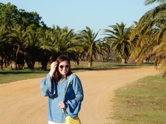 Spring Fashion Trends, Chambray Tops, Pineapple Purse, Kate Spade, Talbots Jeans, How to wear blue, Sarah In Style, Easy Packing Tips, What to wear this spring, Blue and White, closet staples, Sarah Meyer, Chicago Fashion Blogger, Fashion Blog