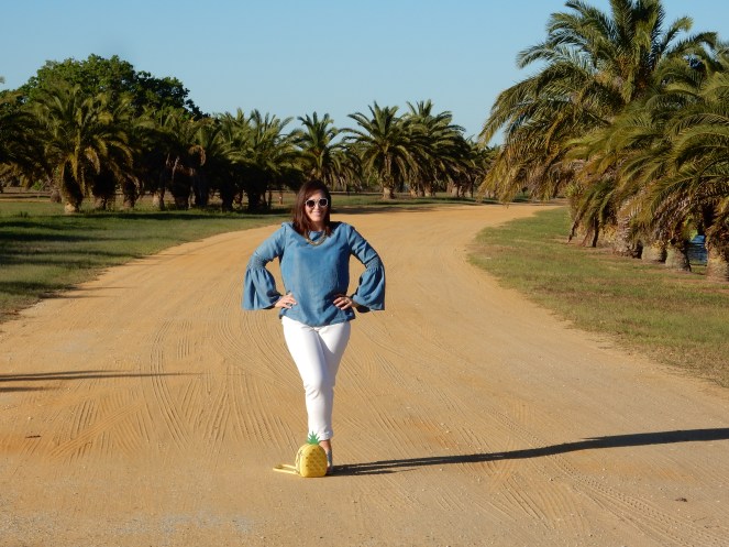 Spring Fashion Trends, Chambray Tops, Pineapple Purse, Kate Spade, Talbots Jeans, How to wear blue, Sarah In Style, Easy Packing Tips, What to wear this spring, Blue and White, closet staples, Sarah Meyer, Chicago Fashion Blogger, Fashion Blog