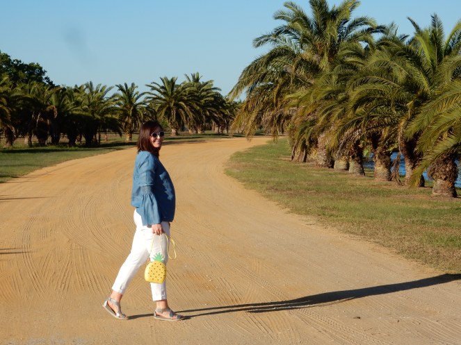 Spring Fashion Trends, Chambray Tops, Pineapple Purse, Kate Spade, Talbots Jeans, How to wear blue, Sarah In Style, Easy Packing Tips, What to wear this spring, Blue and White, closet staples, Sarah Meyer, Chicago Fashion Blogger, Fashion Blog