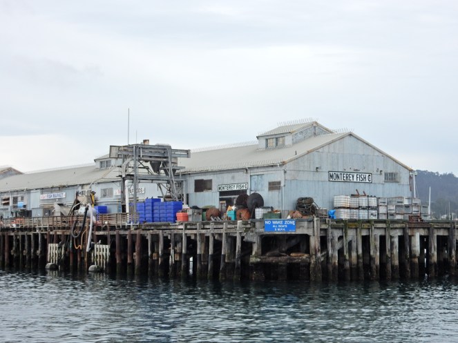 gorgeous california coastline, california coast, California's Hidden Gems, hyatt regency monterey best chowder in California, great whale watching, where to go whale watching, guide to Montery, Where to stay in Monterey, Monterey County sightseeing, California vacation planning, Drive along PCH1, pacific coast highway vacations, Sarah in Style, northern california tips, Sarah Meyer, blogger guide to california, downtown carmel, pacific coast highway, california road trip planning, california road trip