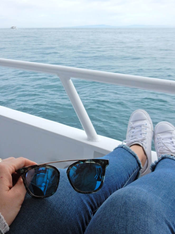 gorgeous california coastline, california coast, California's Hidden Gems, hyatt regency monterey best chowder in California, great whale watching, where to go whale watching, guide to Montery, Where to stay in Monterey, Monterey County sightseeing, California vacation planning, Drive along PCH1, pacific coast highway vacations, Sarah in Style, northern california tips, Sarah Meyer, blogger guide to california, downtown carmel, pacific coast highway, california road trip planning, california road trip