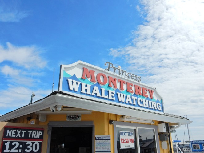 gorgeous california coastline, california coast, California's Hidden Gems, hyatt regency monterey best chowder in California, great whale watching, where to go whale watching, guide to Montery, Where to stay in Monterey, Monterey County sightseeing, California vacation planning, Drive along PCH1, pacific coast highway vacations, Sarah in Style, northern california tips, Sarah Meyer, blogger guide to california, downtown carmel, pacific coast highway, california road trip planning, california road trip