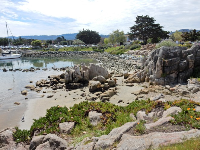 gorgeous california coastline, california coast, California's Hidden Gems, hyatt regency monterey best chowder in California, great whale watching, where to go whale watching, guide to Montery, Where to stay in Monterey, Monterey County sightseeing, California vacation planning, Drive along PCH1, pacific coast highway vacations, Sarah in Style, northern california tips, Sarah Meyer, blogger guide to california, downtown carmel, pacific coast highway, california road trip planning, california road trip