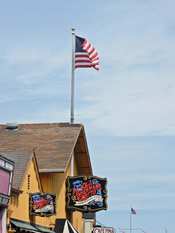 gorgeous california coastline, california coast, California's Hidden Gems, hyatt regency monterey best chowder in California, great whale watching, where to go whale watching, guide to Montery, Where to stay in Monterey, Monterey County sightseeing, California vacation planning, Drive along PCH1, pacific coast highway vacations, Sarah in Style, northern california tips, Sarah Meyer, blogger guide to california, downtown carmel, pacific coast highway, california road trip planning, california road trip