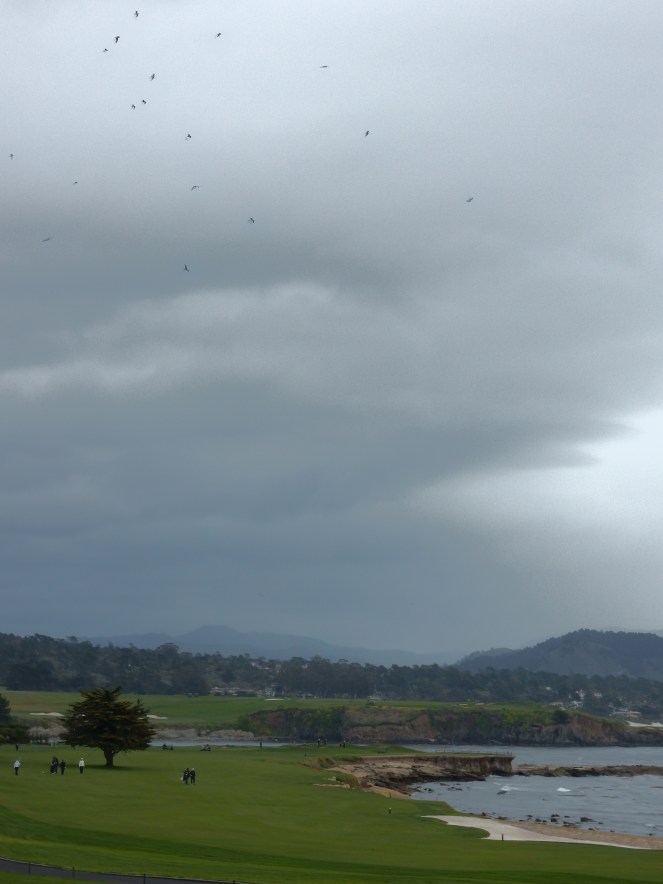 gorgeous california coastline, california coast, California's Hidden Gems, California vacation planning, pacific coast highway vacations, Sarah in Style, northern california tips, Sarah Meyer, blogger guide to california, downtown carmel, pacific coast highway, california road trip planning, california road trip, 17 mile drive, Pebble Beach, U.S. Golf Championship, top golf course in America, #mypebblebeach, where to golf in California, California golf, best golf course, Lone Cyprus