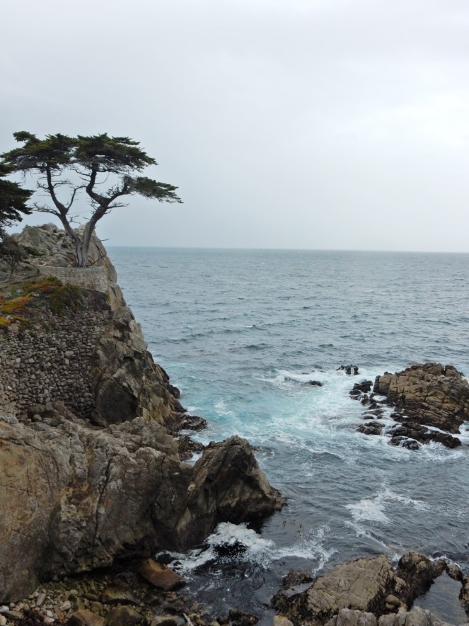 gorgeous california coastline, california coast, California's Hidden Gems, California vacation planning, pacific coast highway vacations, Sarah in Style, northern california tips, Sarah Meyer, blogger guide to california, downtown carmel, pacific coast highway, california road trip planning, california road trip, 17 mile drive, Pebble Beach, U.S. Golf Championship, top golf course in America, #mypebblebeach, where to golf in California, California golf, best golf course, Lone Cyprus