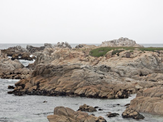 gorgeous california coastline, california coast, California's Hidden Gems, California vacation planning, pacific coast highway vacations, Sarah in Style, northern california tips, Sarah Meyer, blogger guide to california, downtown carmel, pacific coast highway, california road trip planning, california road trip, 17 mile drive, Pebble Beach, U.S. Golf Championship, top golf course in America, #mypebblebeach, where to golf in California, California golf, best golf course, Lone Cyprus