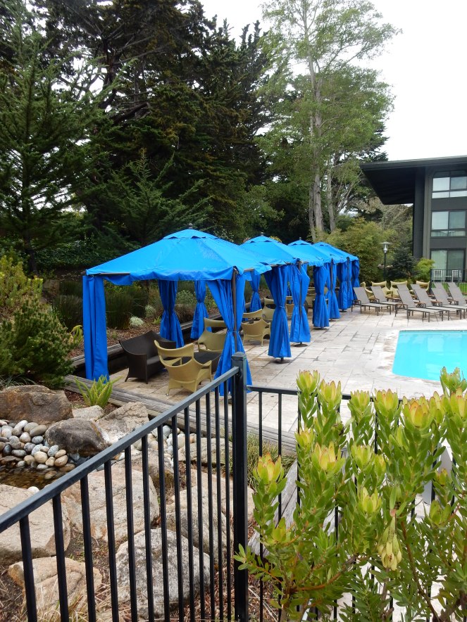 gorgeous california coastline, california coast, California's Hidden Gems, hyatt regency monterey best chowder in California, great whale watching, where to go whale watching, guide to Montery, Where to stay in Monterey, Monterey County sightseeing, California vacation planning, Drive along PCH1, pacific coast highway vacations, Sarah in Style, northern california tips, Sarah Meyer, blogger guide to california, downtown carmel, pacific coast highway, california road trip planning, california road trip