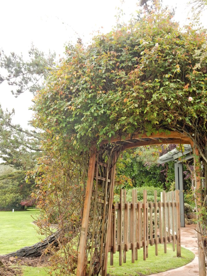 gorgeous california coastline, california coast, California's Hidden Gems, hyatt regency monterey best chowder in California, great whale watching, where to go whale watching, guide to Montery, Where to stay in Monterey, Monterey County sightseeing, California vacation planning, Drive along PCH1, pacific coast highway vacations, Sarah in Style, northern california tips, Sarah Meyer, blogger guide to california, downtown carmel, pacific coast highway, california road trip planning, california road trip