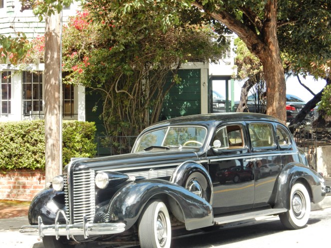 gorgeous california coastline, california coast, California's Hidden Gems, hyatt regency monterey best chowder in California, great whale watching, where to go whale watching, guide to Montery, Where to stay in Monterey, Monterey County sightseeing, California vacation planning, Drive along PCH1, pacific coast highway vacations, Sarah in Style, northern california tips, Sarah Meyer, blogger guide to california, downtown carmel, pacific coast highway, california road trip planning, california road trip