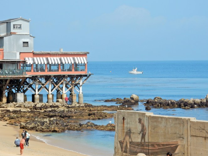 gorgeous california coastline, california coast, California's Hidden Gems, hyatt regency monterey best chowder in California, great whale watching, where to go whale watching, guide to Montery, Where to stay in Monterey, Monterey County sightseeing, California vacation planning, Drive along PCH1, pacific coast highway vacations, Sarah in Style, northern california tips, Sarah Meyer, blogger guide to california, downtown carmel, pacific coast highway, california road trip planning, california road trip