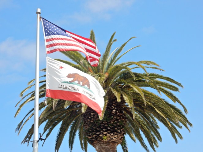 gorgeous california coastline, california coast, California's Hidden Gems, hyatt regency monterey best chowder in California, great whale watching, where to go whale watching, guide to Montery, Where to stay in Monterey, Monterey County sightseeing, California vacation planning, Drive along PCH1, pacific coast highway vacations, Sarah in Style, northern california tips, Sarah Meyer, blogger guide to california, downtown carmel, pacific coast highway, california road trip planning, california road trip