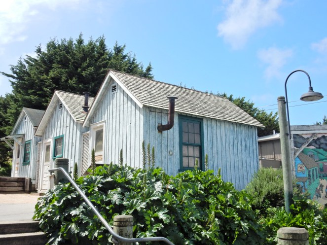 gorgeous california coastline, california coast, California's Hidden Gems, hyatt regency monterey best chowder in California, great whale watching, where to go whale watching, guide to Montery, Where to stay in Monterey, Monterey County sightseeing, California vacation planning, Drive along PCH1, pacific coast highway vacations, Sarah in Style, northern california tips, Sarah Meyer, blogger guide to california, downtown carmel, pacific coast highway, california road trip planning, california road trip