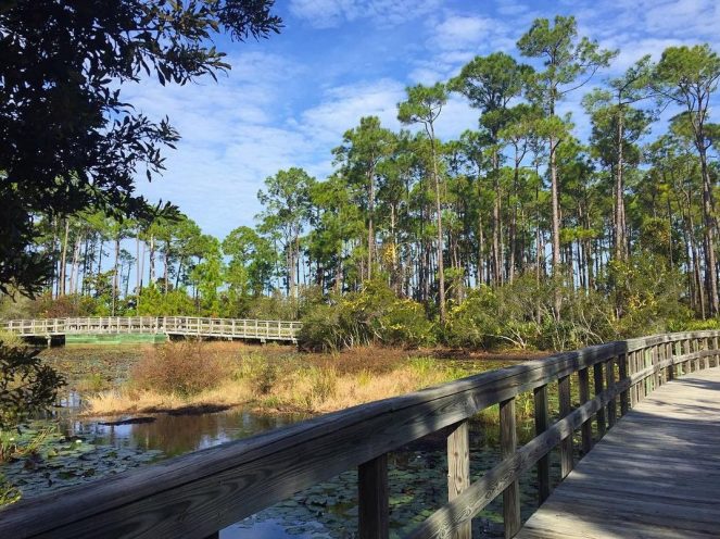 30A hotspots, exploring 30A, highway 30A, Seaside Fl, Rosemary Beach, Alys Beach, Watercolor Florida, Seaside Florida, The Hub Florida, Florida Panhandle, Florida road trips, scenic beaches, best US beaches, Florida beaches, blogger travel tips, Florida vacation ideas, US road trips, Sarah Meyer, SarahinStyle