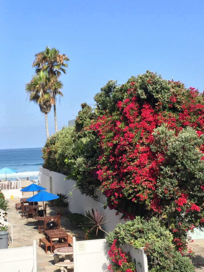 Del Mar Motel, Sarah In Style, Sarah In Style updates, Malibu Wine Safari, Malibu Wine Tasting, Malibu Bachelorette Party, Malibu BEach Club, Calamigos Beach Club, Nemours Mansion, Nemours Estate, Houghton Lake Michigan, Palm Lined Street Los Angeles, Southern California