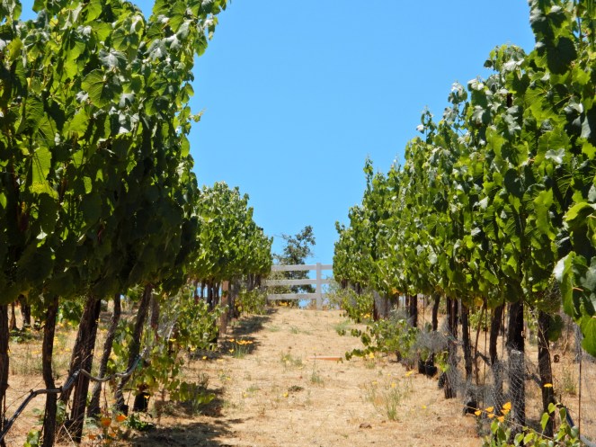 Bold jewelry, statement pieces, statement earrings, tassel earrings, Soft Surroundings, Napa, Downtown Napa, what to wear to a vineyard, what to wear to nantucket, seersucker dress, vineyard style, California style, Napa Valley, wine country USA, Sarah Meyer, Sarah In Style, Blue and white seersucker dress