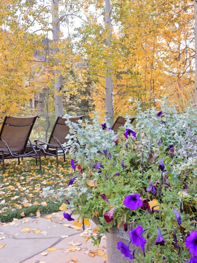 3 days in Colorado, colorado weekend guide, what to do in colorado, explore colorado, Vail, Aspen, Hotel Talisa, Marriott Luxury, Glenwood Springs, fall in Colorado, weekend getaways, vacation tips, vacation guide, Sarah In Style, sarahinstyle, Sarah Meyer