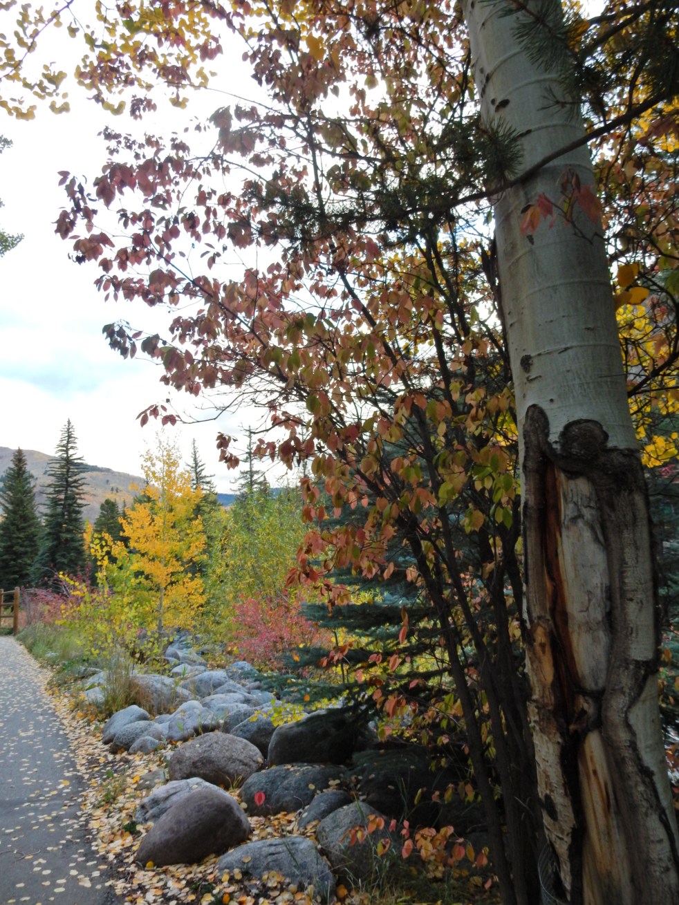 3 days in Colorado, colorado weekend guide, what to do in colorado, explore colorado, Vail, Aspen, Hotel Talisa, Marriott Luxury, Glenwood Springs, fall in Colorado, weekend getaways, vacation tips, vacation guide, Sarah In Style, sarahinstyle, Sarah Meyer