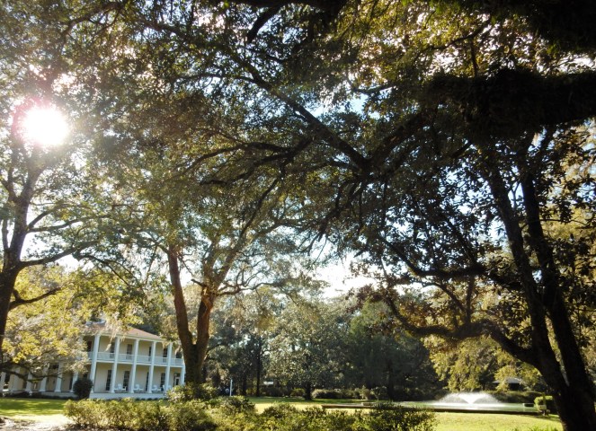 Adult Overalls, How to style overalls, how to wear overalls, how to look cute in overalls, overalls, pink slides, kate spade byrdie bag, Pink sunglasses, spring fashion trends, spring clothes, eden gardens, eden gardens state park, blogger fashion tips, styling tips, Sarah Meyer, Sarah In Style