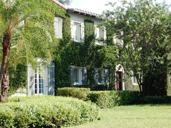 curb appeal, hgtv, outdoor landscaping, St. Petersburg, St. Pete, Florida, Colorful front doors, front doors, design inspiration, landscaping, home exteriors, Sarah In Style, Sarah Meyer, Come and knock on my door, come & knock on my door, home inspiration, home design, florida architecture, St. Petersburg FL Homes, Florida Homes, Florida Architecture