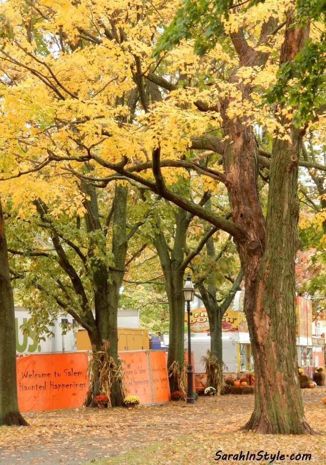 Hocus Pocus filming locations, Hocus Pocus spots, Hocus Pocus Places, Salem Mass, Salem Massachusetts, Salem MA, Salem Witch Trials, Guide to Salem, What to do in Salem, Where to eat in Salem, What to see in Salem, Salem night tours, Salem tours, Salem visitor's guide, Salem witch history, Visit Salem, Visit Massachusetts, Visit New England, New England Charm, New England Architecture, East Coast tours, What to do in the East Coast, Sarah Meyer, SarahInStyle.com, Sarah In Style, blogger travel tips for New England, East Coast trips, merry go rounds