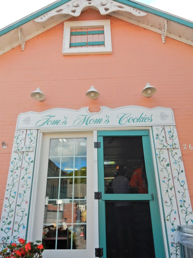 Harbor Springs, Harbor Springs MI, Harbor Springs Michigan, Historic Homes of America, Historic Homes, curb appeal, front doors, Come and knock on my door, Petoskey MI, Petoskey Michigan, Pure Michigan, Michigan Homes, Victorian Homes, Lake Michigan Homes, Lake curb appeal, Vintage curb appeal. Colorful homes, colorful houses, colorful front door, bright front doors, painted front door, home inspiration, Sarah In Style, Sarah Meyer, Design Blogger, Home Blogger, Petoskey Area, Up North Michigan, Lake Cabins