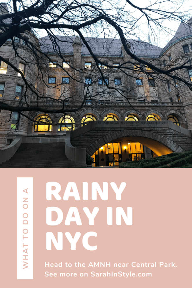 AMNH, American Museum of Natural History, History Museums, NYC Museums, New York Museums, Best US Museums, History Museum, Rose Center for Earth and Space, T rex exhibits, african animals exhibit, underwater exhibit, rainy day in NYC, what to do in NYC,upper west side, near central park, museums at home, online museum exhibits, cultural experience NYC, Sarah In Style, Sarah Meyer, tips for museums, where to go in NYC