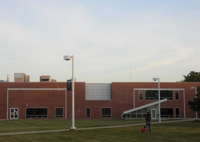 Unique Chicago, Chicago Movie Tour, Chicago Movie Homes, Chicago Famous Homes, Famous Chicago Homes, Chicago Movie Settings, Chicago Movie Sets, Classic Chicago Movies, 1980's teen movies, My Best Friends Wedding, Chicago Architecture, Ferris Bueller's Day Off, Only the Lonely, The Break-Up, The Breakfast Club, Sixteen Candles, Home Alone, Chicago Northshore, Must See Chicago, Visit Chicago, Cool Chicago Tours, Best Chicago Tours, Self Guided Chicago Tours, Movie Tours, Sarah In Style, SarahInStyle.com, Sarah Meyer, Best of Chicago sightseeing, Chicago film locations
