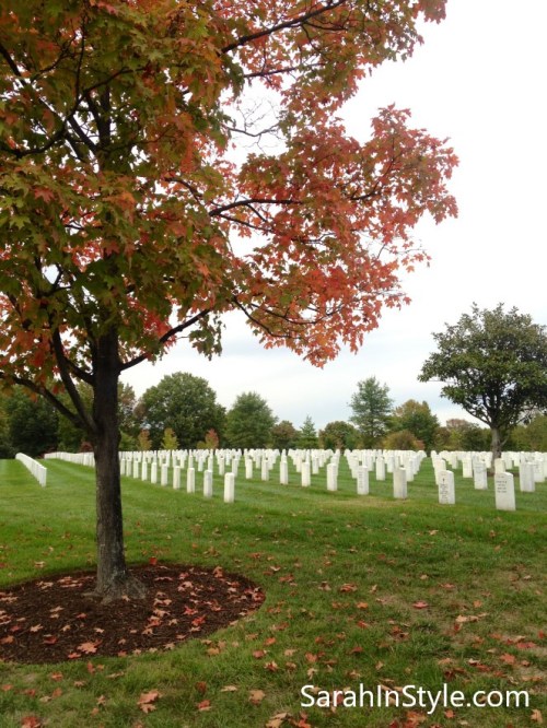 Veteran's Day, Wreaths Across America, US Vets, proud to be an American, support our troops, support veterans, God bless veterans, how to support U.S. veterans, how to support American veterans, Arlington National Cemetery, Veteran cemeteries