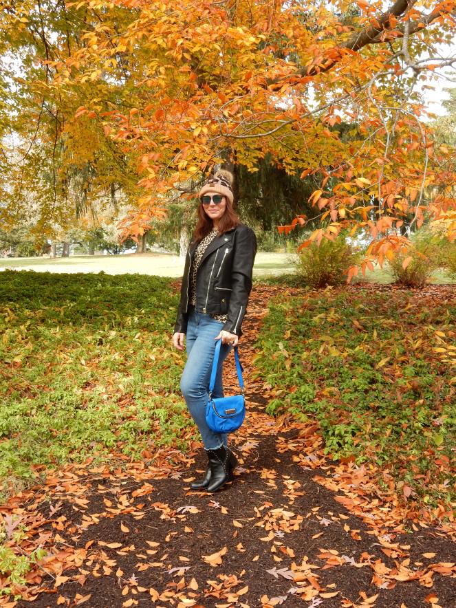 leather jacket, leather bomber, women's leather bomber, Topshop coats, Topshop leather jacket, Nordstrom Leather jacket, Leopard t-shirt, Leopard beanie, Blue crossbody bag, blue marc jacobs bag, sunglass warehouse, cool sunglasses, cute cheap sunglasses, get out there, #getoutthere, Sarah In Style, Sarah Meyer, fall fashion accessories, fall fashion must haves, the perfect jacket for any location, the perfect jacket for any season, falls must have coats, falls must have jackets, Sam Edelman booties, black studded booties, Cute fall fashions, how to dress for fall, leopard and leather, blogger fashion ideas, blogger fashion tips