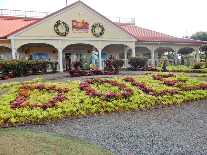 Visiting the Dole plantation Hawaii