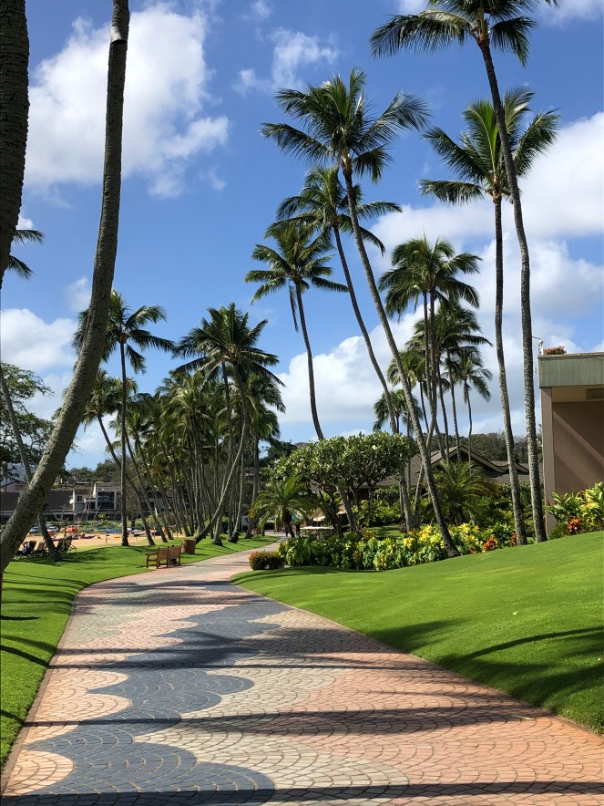 Niwiliwili Bay Lihue 