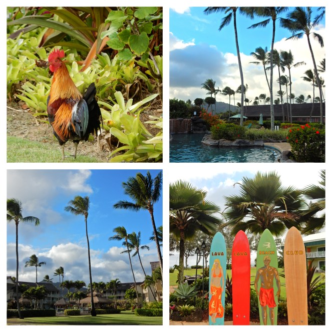 Best Hotels on Kauai