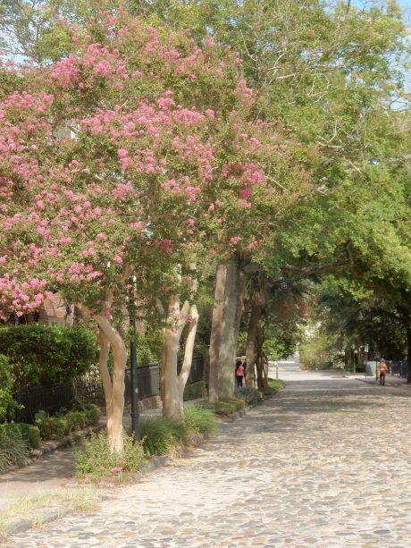 Cobblestone streets in Charleston, South Carolina