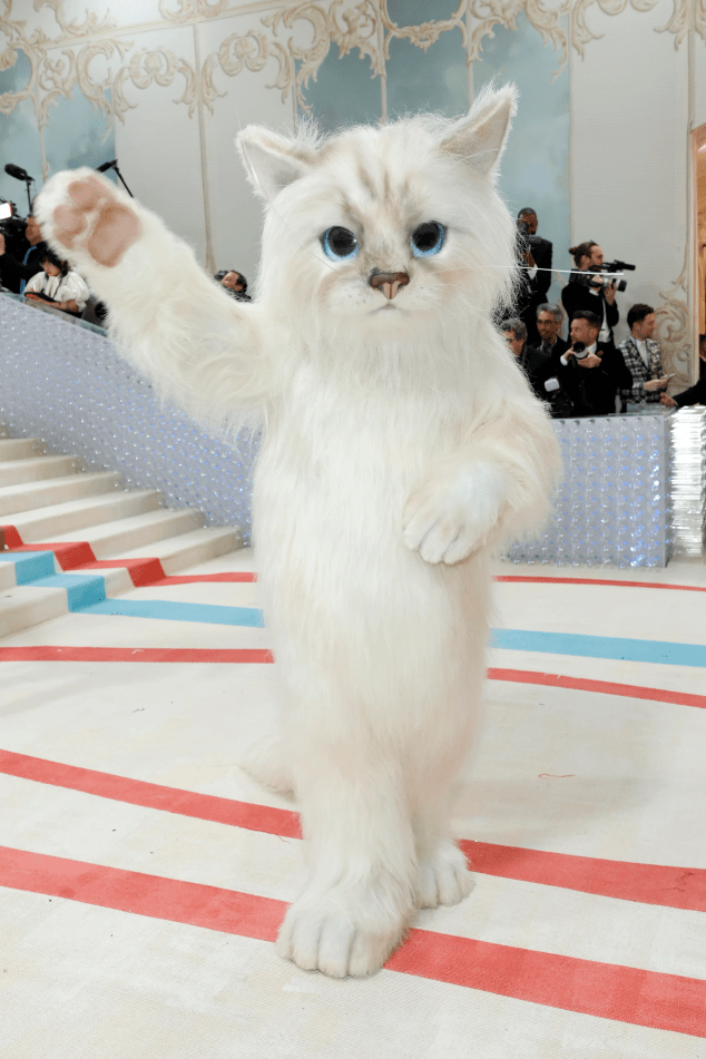 Met Gala 2023 Red Carpet