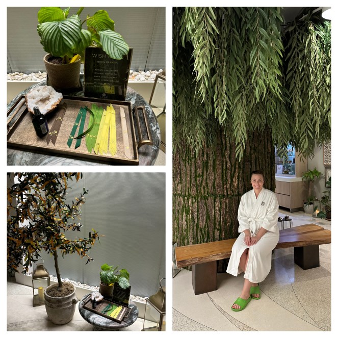 Leaf Spa at Fairmont Chicago Millennium Park